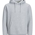 felpe personalizzate milano 2express b&c BS303