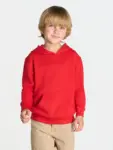 Felpa con cappuccio bambino 240 g – 2ED5C1VYY