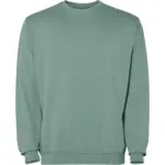 Felpa con cappuccio unisex in 100% cotone 250 g