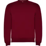 Felpa con cappuccio unisex in 100% cotone 280 g – 2ECAVNMLH
