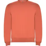Felpa con cappuccio unisex in 100% cotone 280 g – 2ECAVNMLH