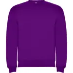 Felpa con cappuccio unisex in 100% cotone 280 g – 2ECAVNMLH