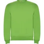 Felpa con cappuccio unisex in 100% cotone 280 g – 2ECAVNMLH