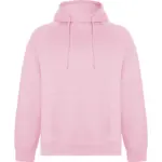 Felpa con cappuccio unisex in 100% cotone 300 g – 2EANIX1RG