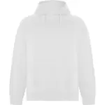 Felpa con cappuccio unisex in 100% cotone 300 g – 2EANIX1RG