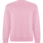 Felpa con cappuccio unisex in 100% cotone 300 g