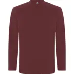 Polo manica lunga uomo in 100% cotone 160 g